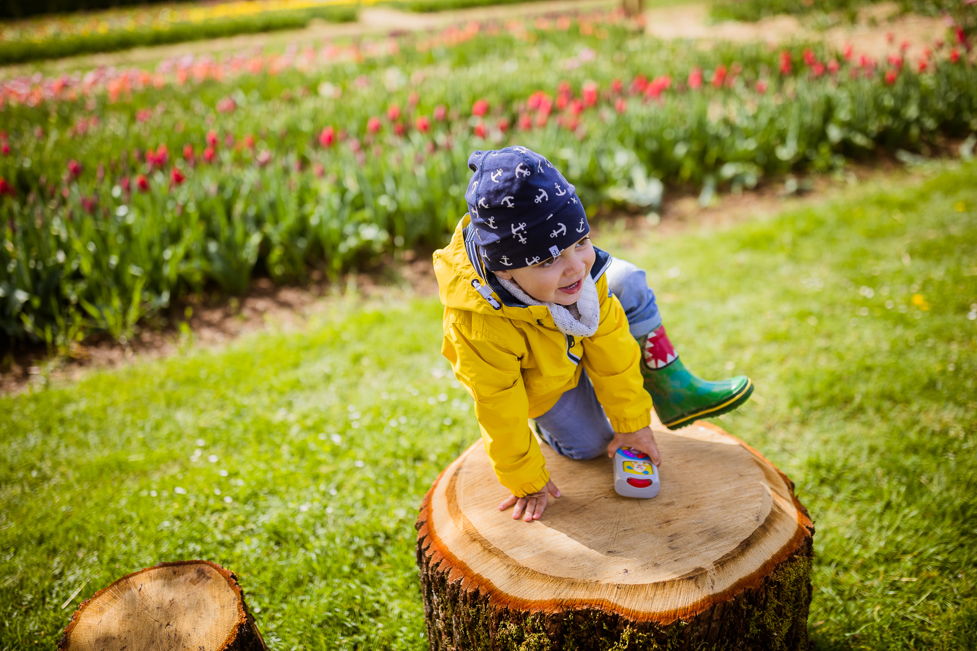 Export x3 5D4 6556 Familienfotoshooting 2019 Hefti